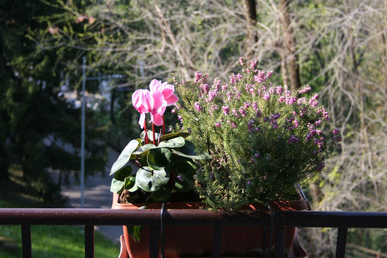 B&B I Ghiri Bergamo Exteriör bild