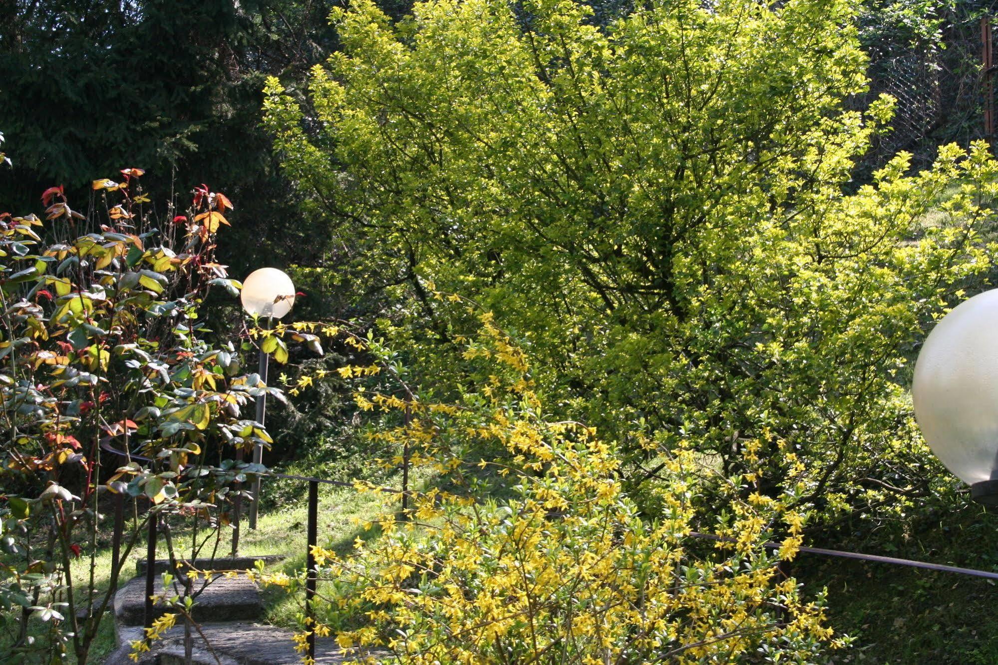 B&B I Ghiri Bergamo Exteriör bild